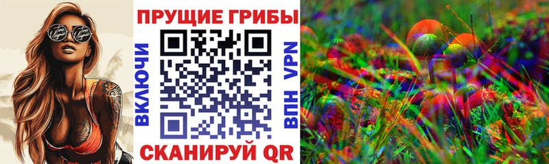 ссылка на мегу tor как найти закладки Тогучин Псилоцибиновые грибы Cubensis